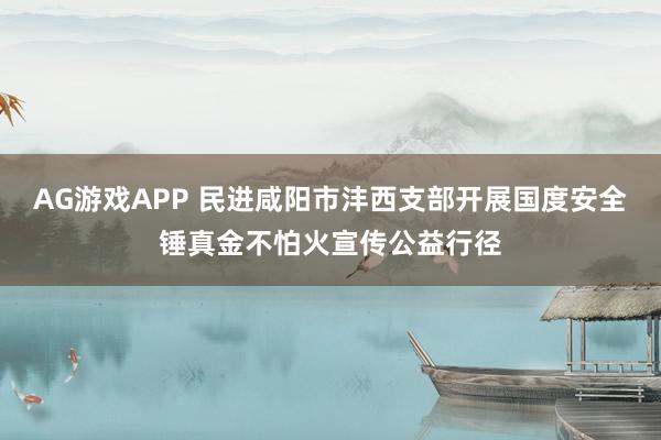 AG游戏APP 民进咸阳市沣西支部开展国度安全锤真金不怕火宣传公益行径