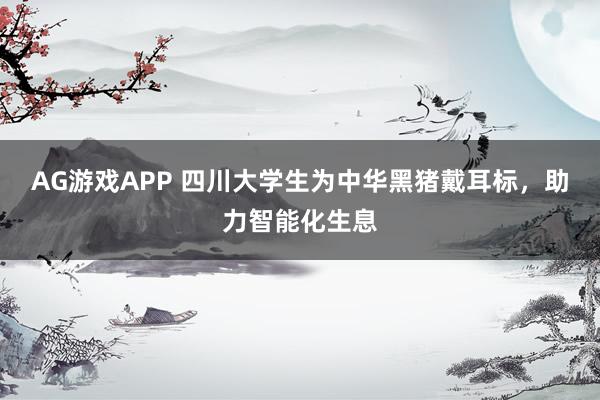 AG游戏APP 四川大学生为中华黑猪戴耳标，助力智能化生息