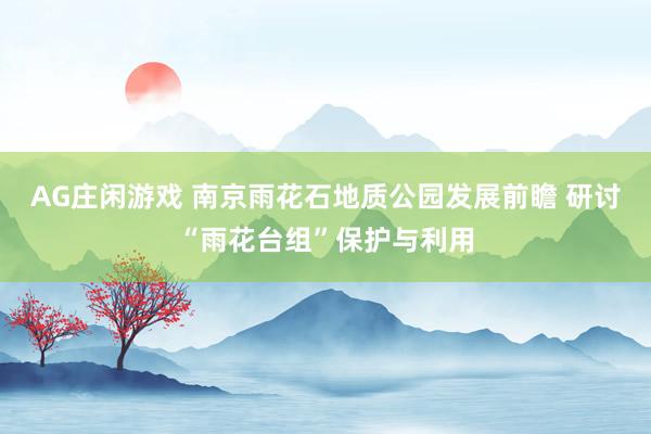 AG庄闲游戏 南京雨花石地质公园发展前瞻 研讨“雨花台组”保护与利用