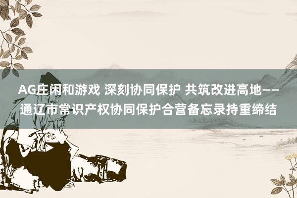 AG庄闲和游戏 深刻协同保护 共筑改进高地——通辽市常识产权协同保护合营备忘录持重缔结