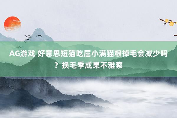 AG游戏 好意思短猫吃屈小满猫粮掉毛会减少吗？换毛季成果不雅察