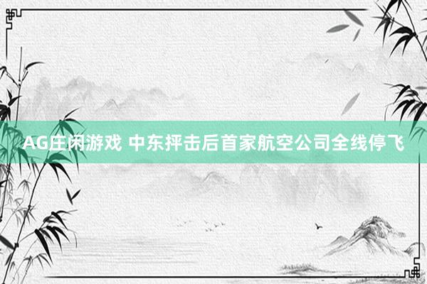 AG庄闲游戏 中东抨击后首家航空公司全线停飞