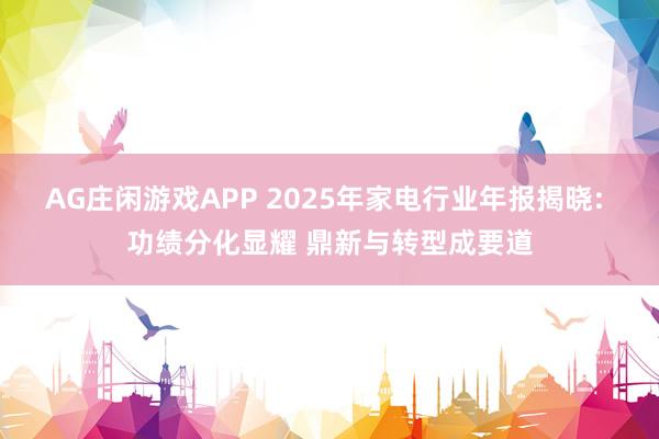 AG庄闲游戏APP 2025年家电行业年报揭晓: 功绩分化显耀 鼎新与转型成要道
